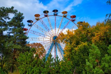 Sonbahar ağaçları arasında parlak dönme dolap
