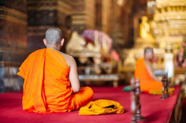 Wat Pho Manastırı Budist rahip