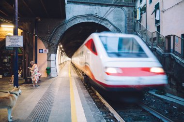Yüksek hızlı Elektrikli tren 