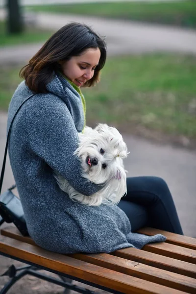 Sjov sød hund med tong ud - Stock-foto