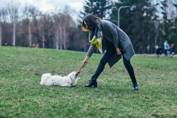 ผู้หญิงเล่นกับสุนัขของเธอบนหญ้า — ภาพถ่ายสต็อก