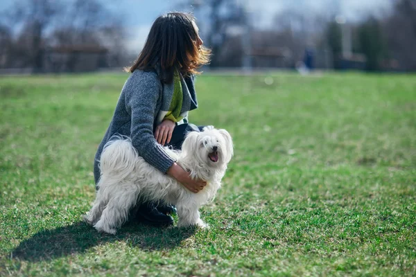 Petit chien avec propriétaire sur prairie verte — Photo