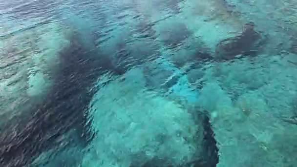 Güzel mavi su — Stok video