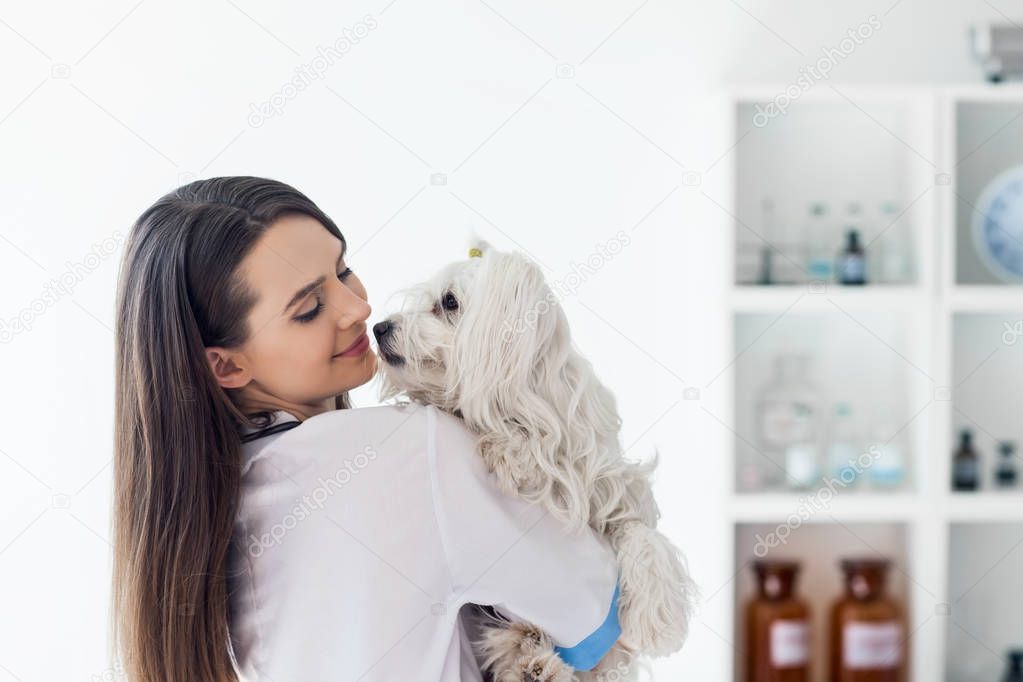 veterinarian doctor holding cute dog