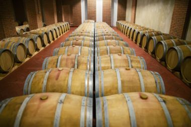 Rows of wooden wine barrels clipart