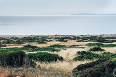 Mavi deniz güzel vadi