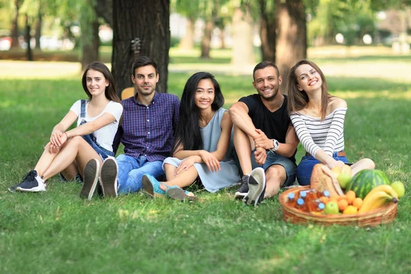 Grupo de amigos sentados no parque — Fotografia de Stock