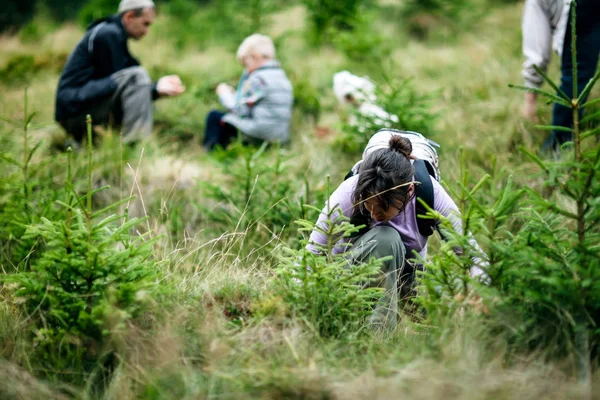 Lycklig Familj Samla Vilda Bär Skogen Aktiv Semester Resor Bakgrund — Stockfoto