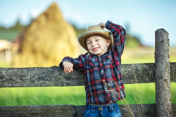 把小男孩的画像用稻草放在嘴里靠在木栅栏上 快乐的童年概念 Vacatio — 图库照片