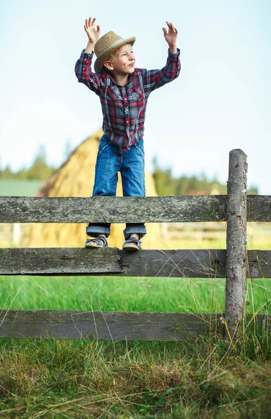 小男孩爬过木栅栏 双手举起手来庆祝 孩子在户外玩干草背景的木制篱笆 勇敢的小牛仔摆出一个危险的姿势 — 图库照片