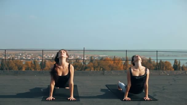 Zwei Schöne Frauen Die Yoga Asana Auf Dem Dach Praktizieren — Stockvideo