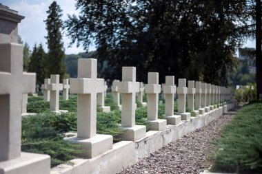 White gravestones on cemetery  clipart