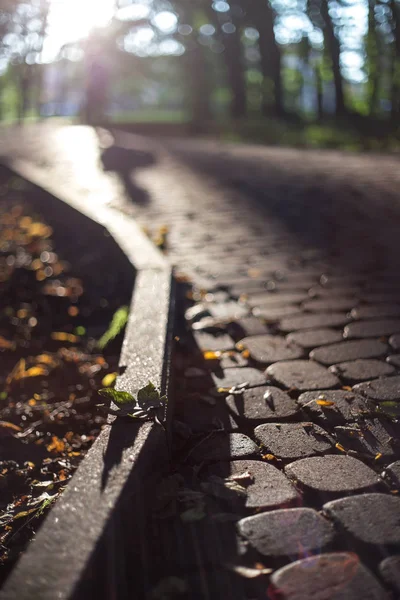 Stone asfalterad trottoar — Stockfoto