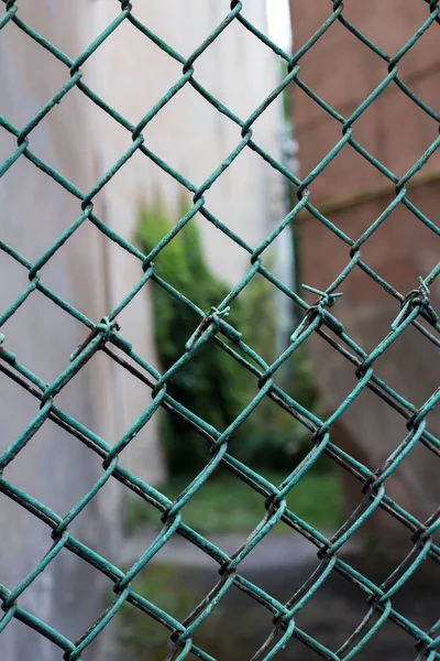 Malla de alambre verde —  Fotos de Stock