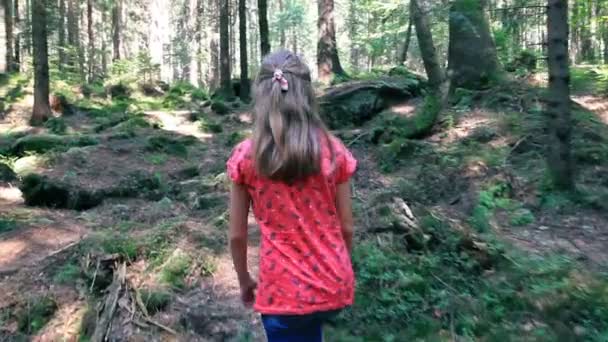 可爱的小女孩走在夏天森林 — 图库视频影像