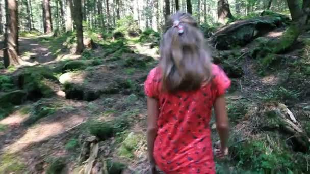 Carino Bambina Che Cammina Nella Foresta Estiva — Video Stock