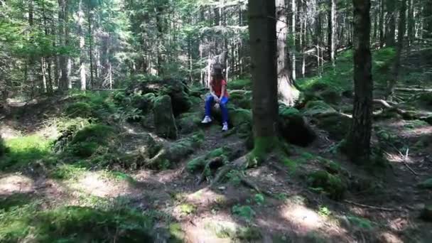 Linda Niña Sentada Roca Bosque Verano — Vídeo de stock