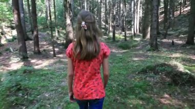 sevimli küçük kız yaz ormanda yürüyüş