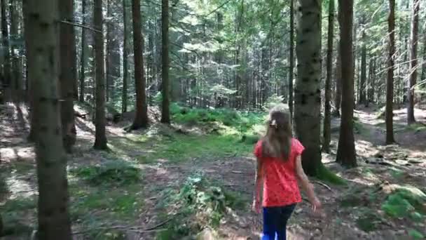 Cute Dziewczynka Spacery Lesie Lato — Wideo stockowe