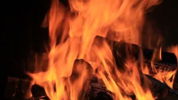 Burning Bonfire Night Time — Stock Video