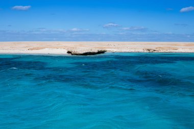 Mısır'daki güzel Kızıldeniz. Doğa arka plan