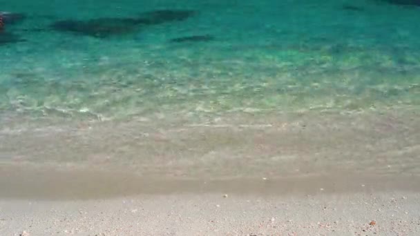 Transparent turquoise sea water surface on exotic paradise island — Stock Video