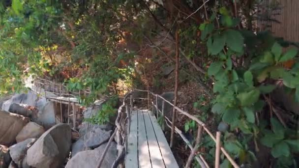 Прогулянка по дерев'яному мосту в джунглях — стокове відео