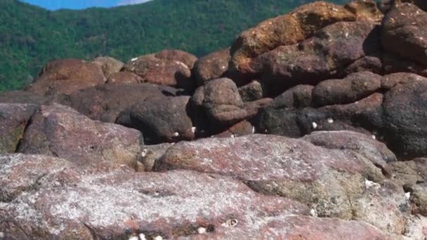 Mar turquesa en exótica isla paradisíaca — Vídeos de Stock