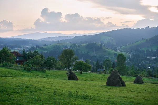 Carpathian dağındaki güzellik vadisi — Stok fotoğraf