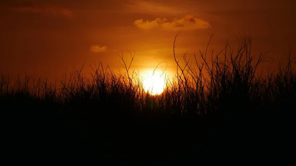 Silhuetas do pôr-do-sol 1 — Fotografia de Stock