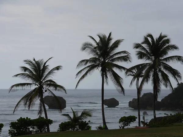 Esős napon, a keleti parton Barbadosi, Caribbean — Stock Fotó