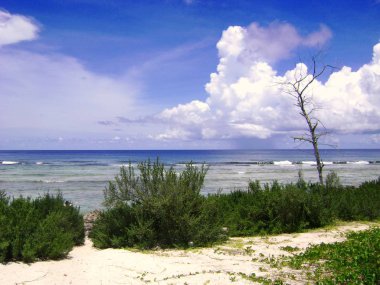 Chulu Beach (yıldız Sands) Tinian