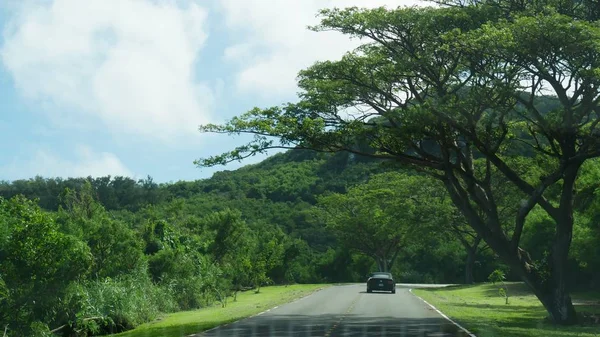 Route de jungle, Saipan — Photo