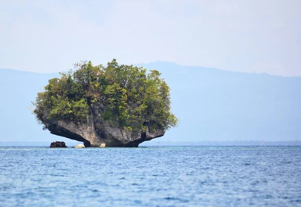 Banay Banay Davao Oriental Filipijnen Maart 2016 Werknemers Rijst Veld — Stockfoto