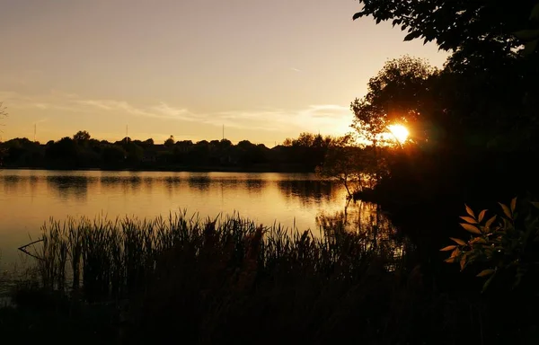 Rayons du soleil couchant brisant les arbres au coucher du soleil au bord du lac — Photo