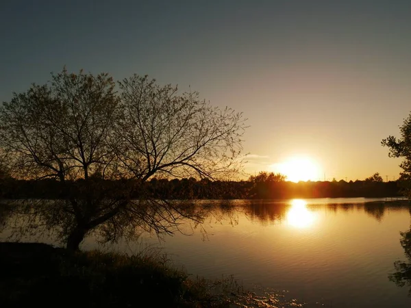 Rajzolódott ki a naplemente, mint egy tó, fa — Stock Fotó