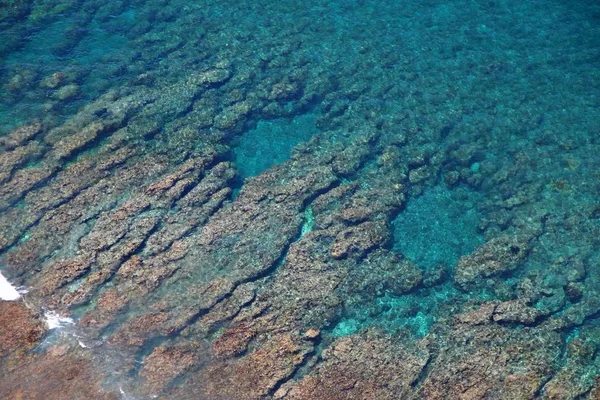 Los Corales Forman Piscinas Una Costa Rocosa Océano Transparente Desde — Foto de Stock