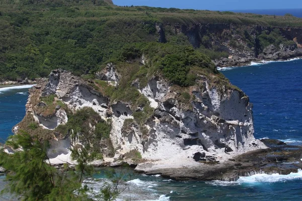 Kuş Adası, Saipan yakın çekim