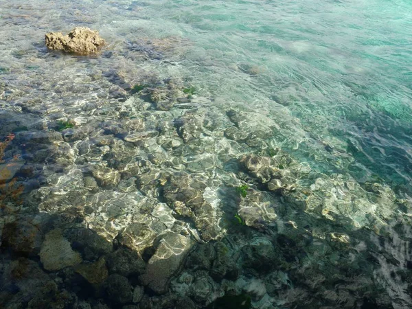 Rocas Corales Son Visibles Través Las Aguas Cristalinas Las Marianas —  Fotos de Stock