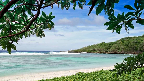 Hojas Árbol Enmarcan Una Porción Playa Wing Saipan Islas Marianas — Foto de Stock