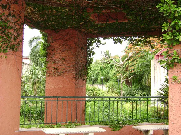 Terk edilmiş bir alışveriş merkezinin büyük eski sütunları yeşil bitkiler ve paletlilerle kaplı.