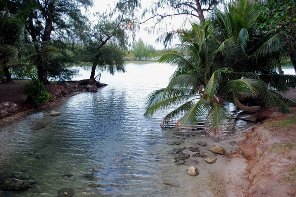 Vatten Rinner Bäck Från Havet Vid Högvatten — Stockfoto