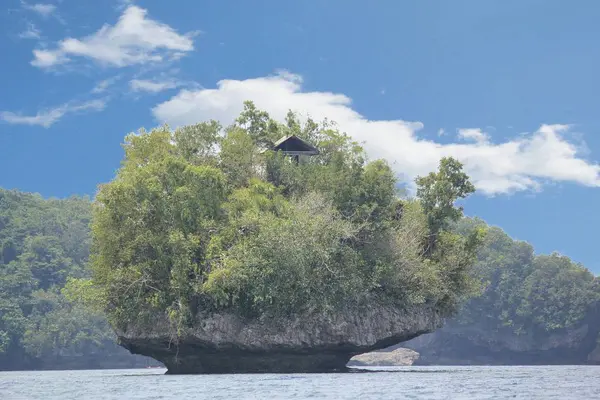 Дом Отдыха Небольшом Скалистом Острове Суригао Филиппины — стоковое фото