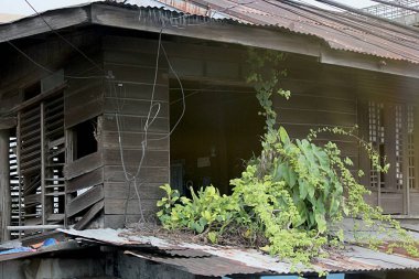 Filipinler'de sokak kenarında terk edilmiş ve harap edilmiş ev, çatı ve duvarlarda sürünen yeşil bitkilerle