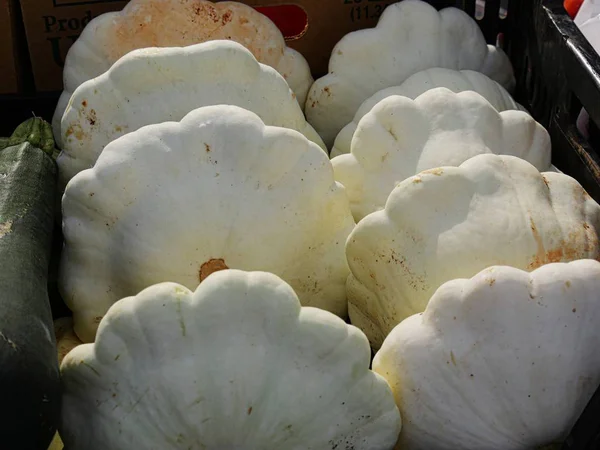 Patty tava kabak organik bir pazarda siyah plastik tepsi içinde dizilmiş