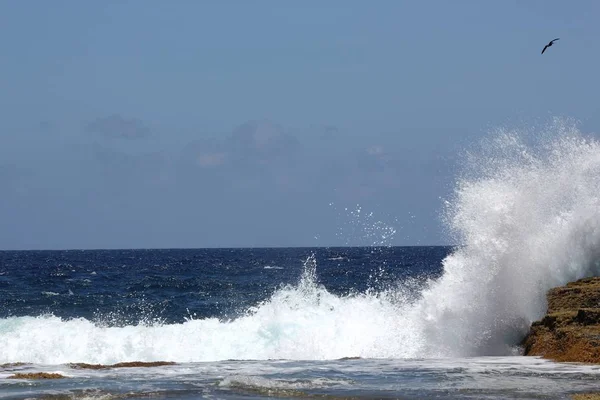 Катящиеся Волны Разбивающиеся Скалы Тропическом Пляже Птицей Летящей Над Волнами — стоковое фото