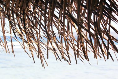 Dokuma hindistan cevizi yapraklarından yapılmış bir kulübenin çatısı, kurutulmuş