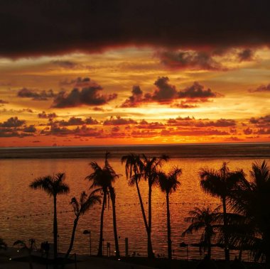 Gün batımında tropik bir plajda palmiye ağaçlarının silueti, alevli gökyüzü ile