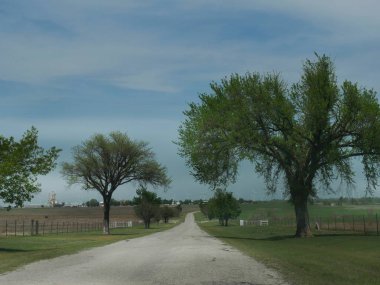 Güneşli bir günde her iki tarafta birkaç ağaç ile Çakıl yol. Uzakta yel değirmenleri vardır