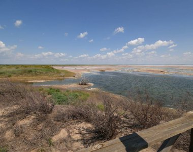Gözlem güvertesinden görülen tuz ovasında ölü çalılar ve su havuzları